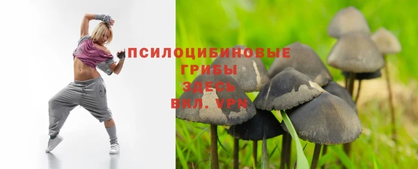 трава Володарск